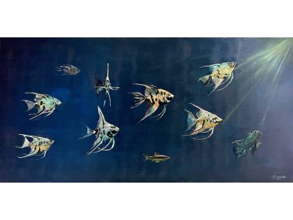 Mint hal a vízben 50x100 cm k