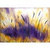 Összhang 70x100 cm k