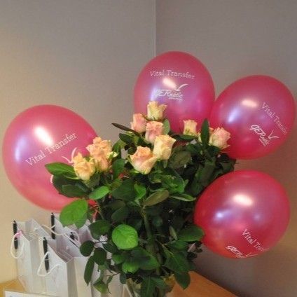 Řada Vital Transfer přilákala odborníky z mediálního světa