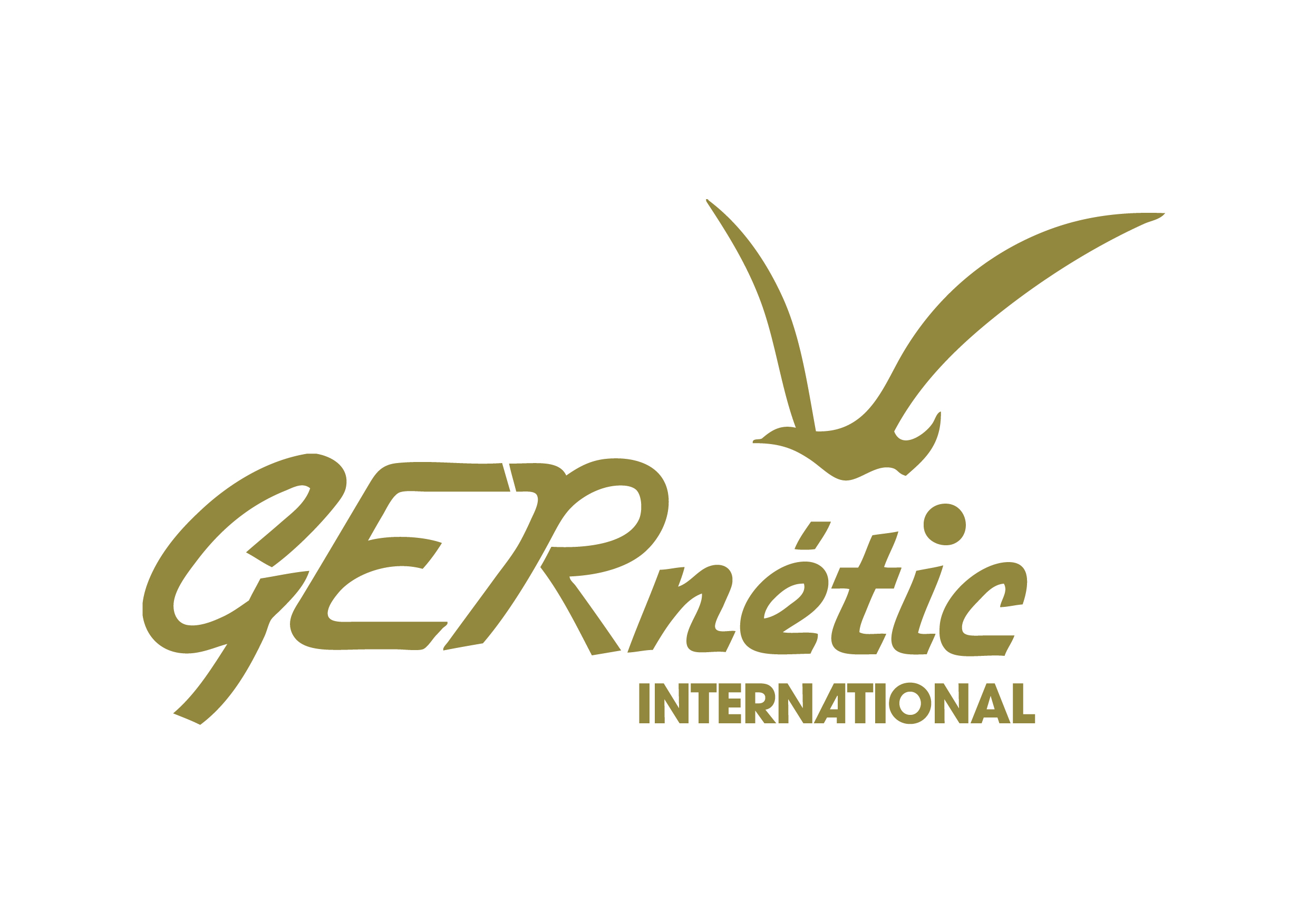Logo GERnétic