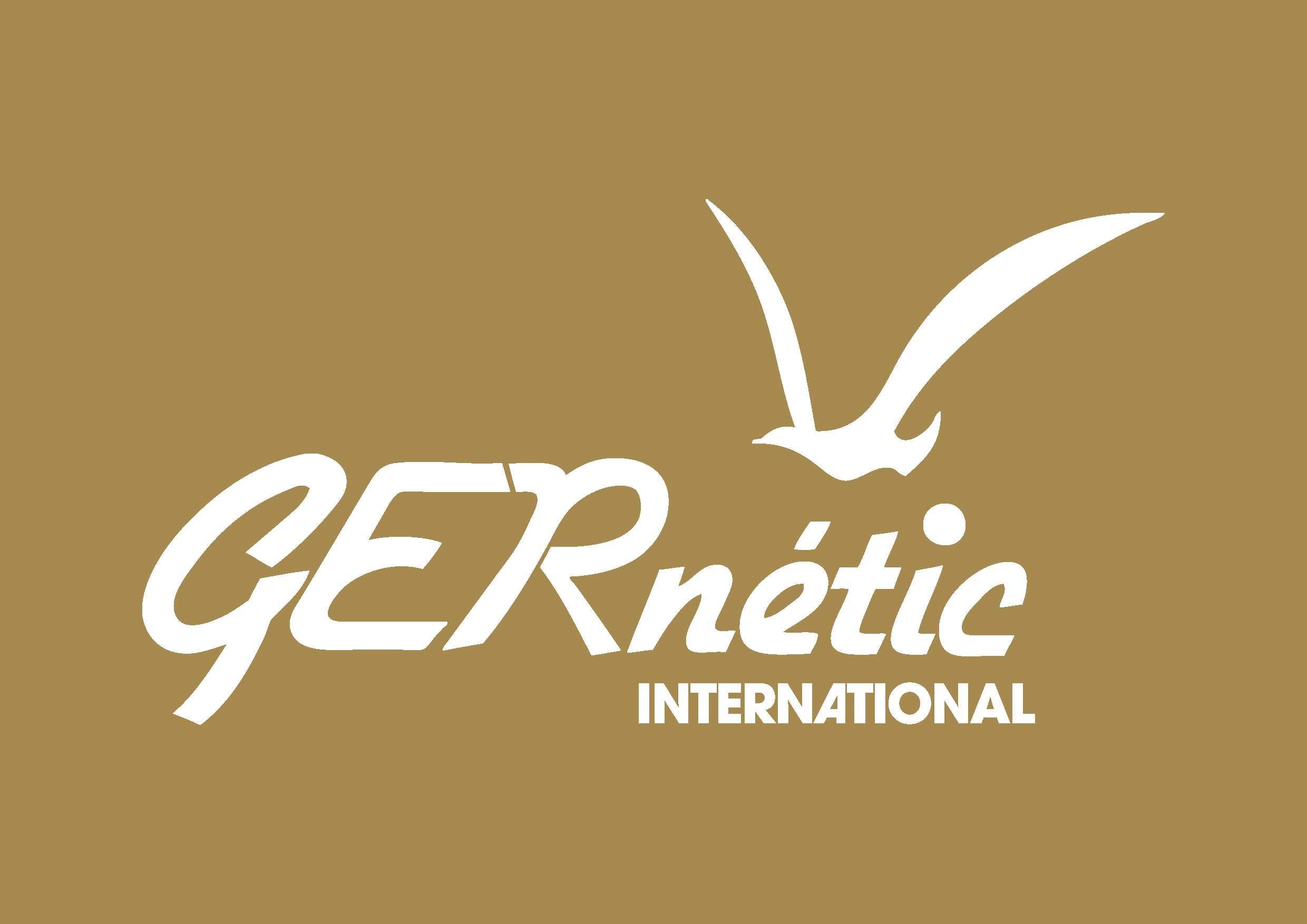 Logo GERnétic 2023 negativní verze