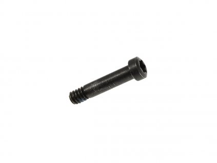 Fire Control Housing Screw pre Ruger LCR