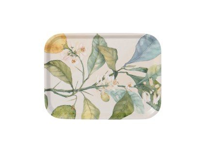 Malý servírovací tác Citrus  multi 27x20