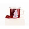 Skleněný hrnek Moomintroll clear 350ml