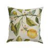 Povlak na polštář Citrus multi 45x45