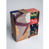 Bavlněné ponožky Yaella Woodlands multi 4-set box 37-40