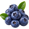 blueberry