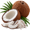 coconut