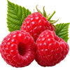 raspberry