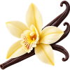 vanilla