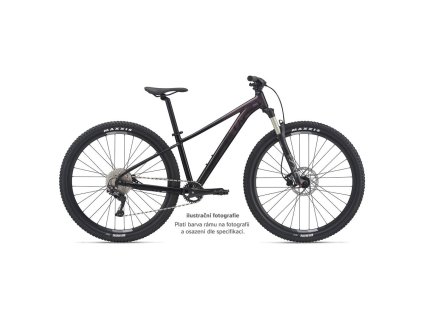 LIV Tempt E+ 1 29er Eclipse