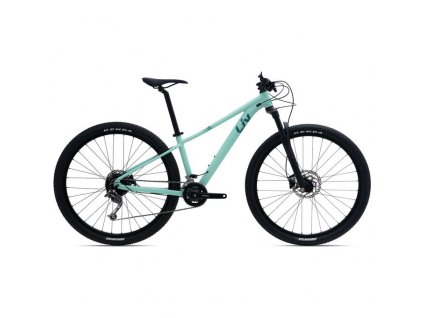 LIV Tempt 29 2-GE Ocean Wave