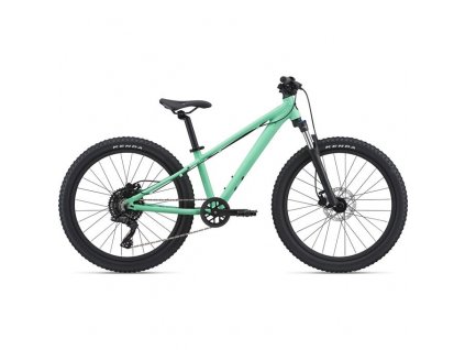 LIV STP 24 FS-LIV Neo Mint