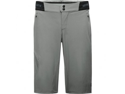 GORE C5 Shorts Lab Gray