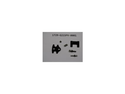 1729 g21spv 0001 zoom