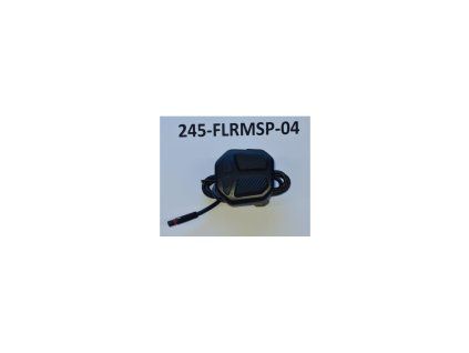 245 flrmsp 04 zoom