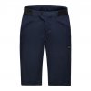 GORE Fernflow Shorts Mens Orbit Blue