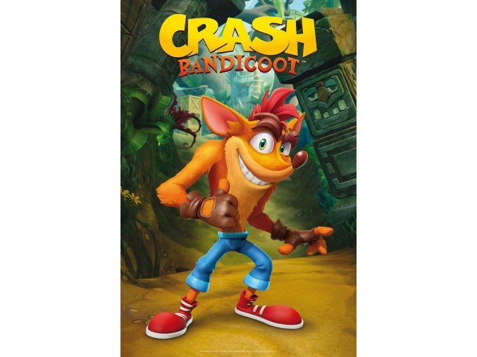 Crash Bandicoot - plakát Crash
