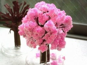 Hern koutek - Maraton o Rostouc krystal s