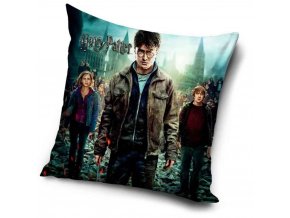 3106 harry potter polstar harry ron a hermiona 40x40