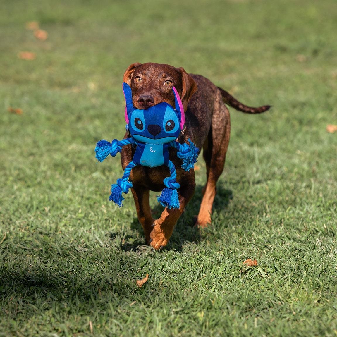 Lilo a Stitch - přetahovadlo pro pejska Stitch