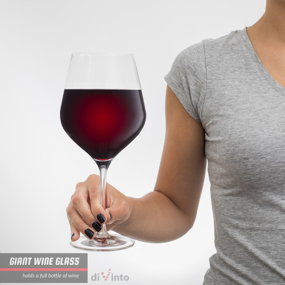 Obří sklenice na víno JEdna sklenice Průhledná Diamont 860ml