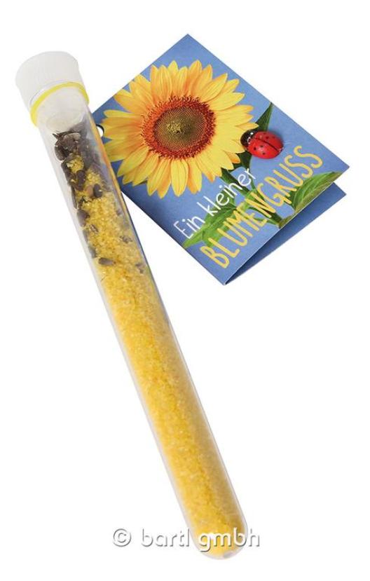 Vypěstuj si květinu (dárkové balení ve zkumavce) Slunečnice