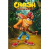 Crash Bandicoot - plakát Crash