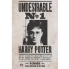 Harry Potter - plakát Undesirable No. 1