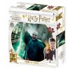2296 1 harry potter 3d puzzle lord voldemort 300