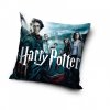 3388 harry potter polstar turnaj tri kouzelniku 40x40