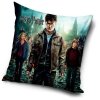 3106 harry potter polstar harry ron a hermiona 40x40