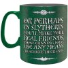Harry Potter - bögre Mardekár