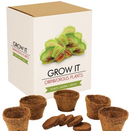 Cultivă-ți singur - Plantă carnivoră 