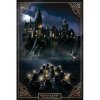 Harry Potter - poster Școala de magie Hogwarts 