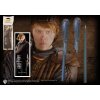 Harry Potter - set pix Deluxe Ron Weasley
