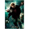 Harry Potter - 3D puzzle - Ron cu bagheta - 300 