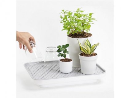 Zavlažovací/odkapávací podnos QUALY DESIGN Oasis Tray 10309