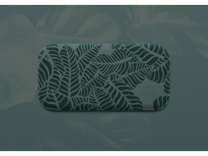 Svačinový box MonBento Original Graphic | Jungle