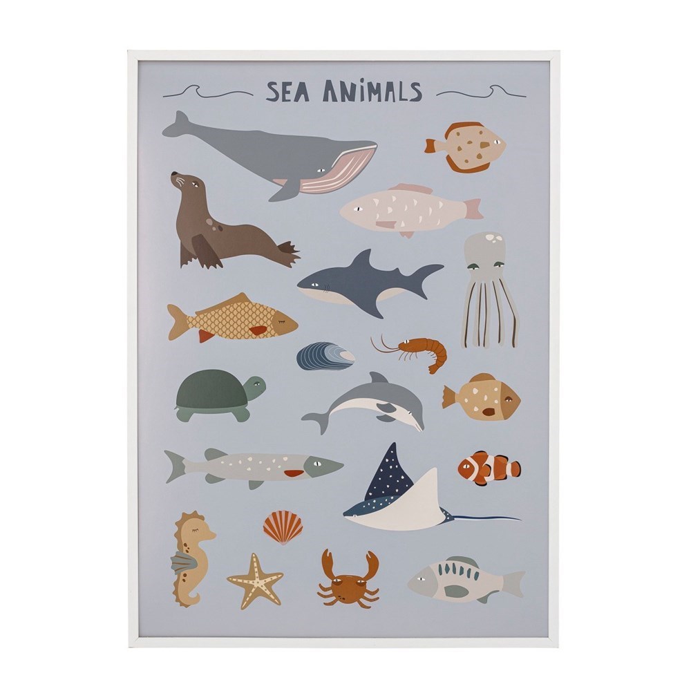 Bloomingville, Plakát v bílém rámu Cay mořští živočichové 72x52 cm