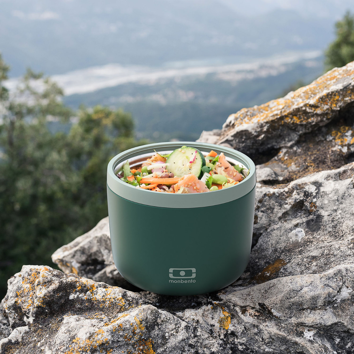 Termobox na svačinu MonBento Element Green Bicolor | tmavě zelená