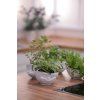 14553 4 porcelanova miska tassen 58products libajici