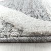 Kusový koberec Pisa 4709 Grey (Typ 120x170)