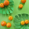 Mísa na ovoce Monstera 27624, zelená