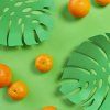 Mísa na ovoce Monstera 27624, zelená
