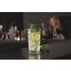 86216 4 sklenice na vodu leonardo spiritti 260 ml