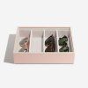 87617 1 box na slunecni bryle stackers blush classic glasses accessory lid ruzova