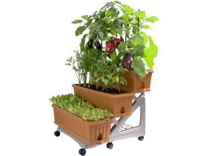 134899 bama sada truhliku orto terracotta