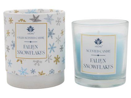 129201 5 fallen snowflakes