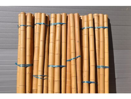77127 bambusova tyc prumer 7 cm a delka 2 metry